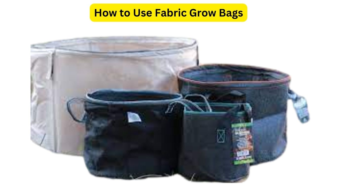 How to Use Fabric Grow Bags: 7 Simple Steps